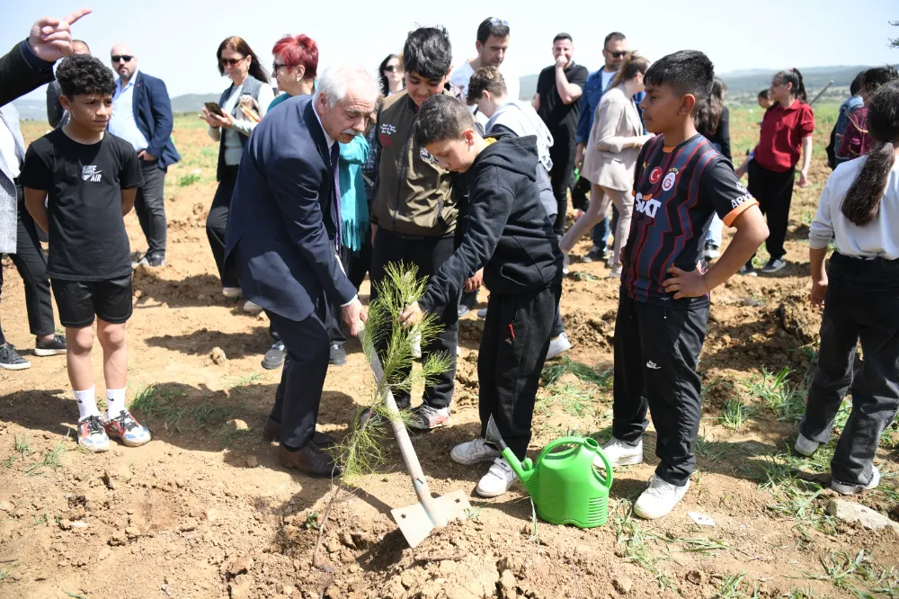 Eski Çöplük Ormanlığa Dönüştü!