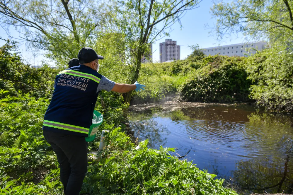 Yaz Öncesi Haşere Alarmı