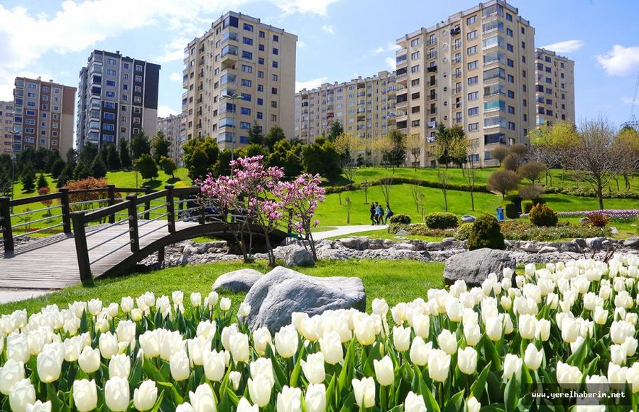 Başakaşehirin Muazzam Laleleri...