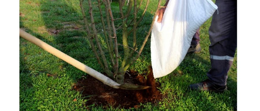 Çöpler Geri Dönüşüyor, Yeşile ‘Can’ Katıyor