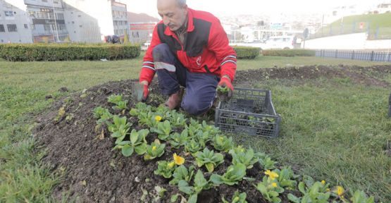 Her Mevsim Estetik Görüntü