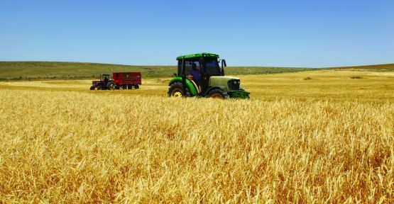 Tarımsal üretim artarsa gıda fiyatları düşer